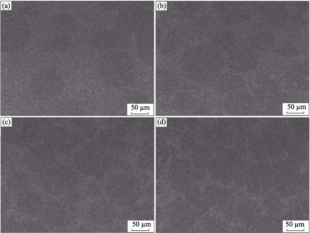 Differences in Corrosion Performance between Hard Alloys with 2 Matrix Granule-to-Network Structure Ratios 5